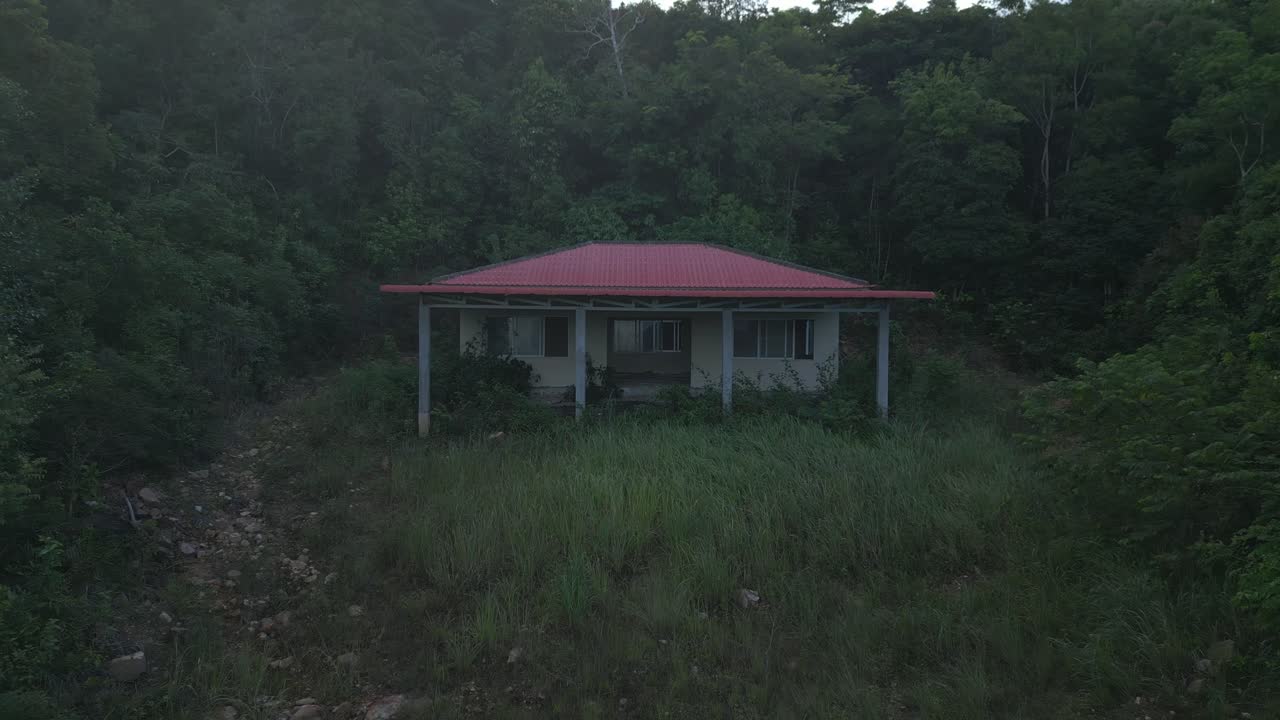 Abandoned house surrounded by dense jungle.