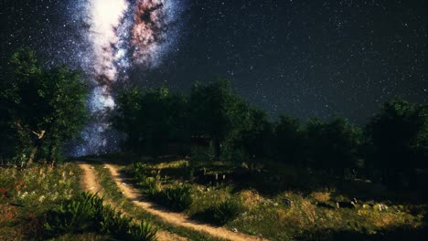 Bosques-De-árboles-Verdes-En-El-Parque-Bajo-El-Cielo-Estrellado-De-La-Noche