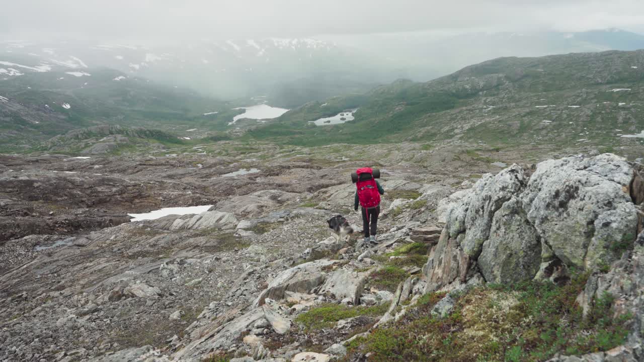 Man Trekking With Alaskan Malamute On Leash On Rocky Mountain In Lomsdal&ndash;Visten National Park, Nordland, Norway