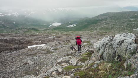 man trekking with alaskan malamute on leash on rocky mountain in lomsdal–visten national park, nordland, norway