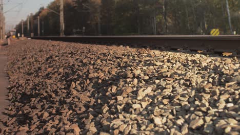 high-speed train blurring past on tracks, vivid autumn trees in the background, dynamic motion effect