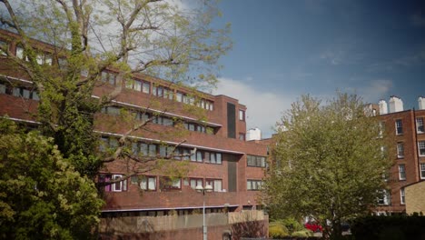 london council estate high rise apartment block on sunny summer day