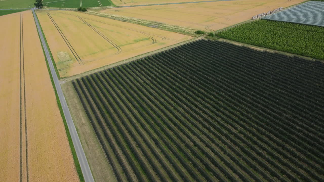 vista aérea de campos agrícolas y huertos