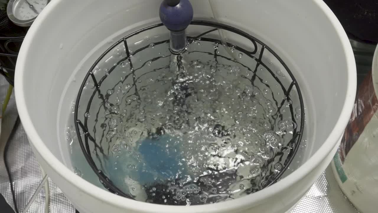 poner polvo químico azul en un balde de agua para alimentos vegetales
