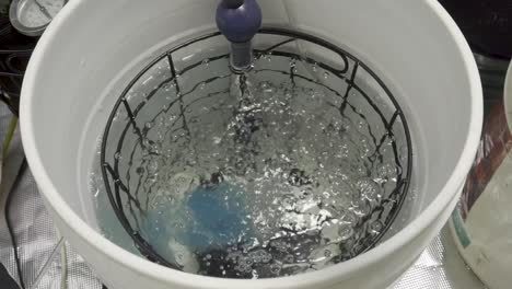 putting blue chemical powder in a bucket of water for plant food