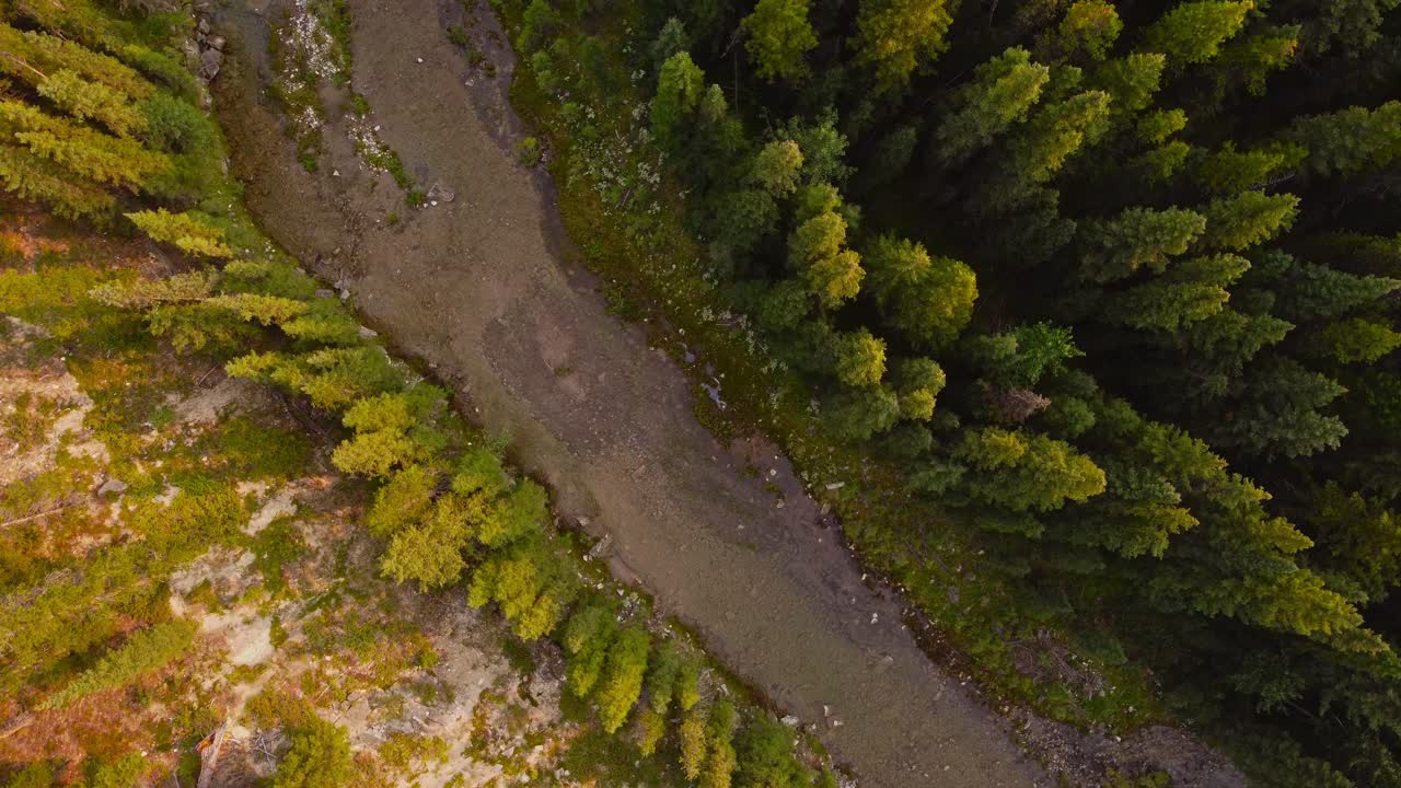 acercándose al arroyo