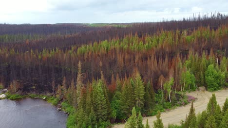 aerial dolly left shot of damage caused by quebec wildfires near lakeside, lebel-sur-quévillon - canada