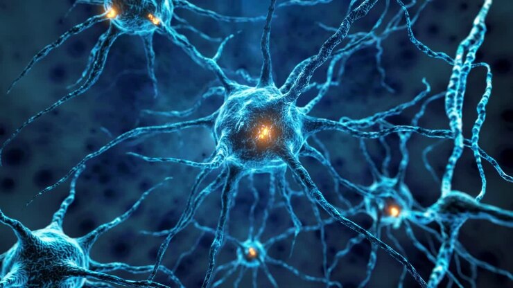 Close-up video of glowing blue neurons, captured from a dynamic angle, illustrating the complexity