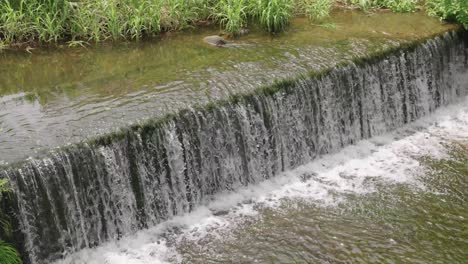 presa del río en el campo de daisen japón