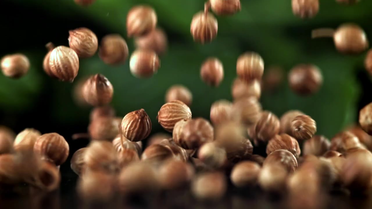 Coriander Seeds Falling in Slow Motion with Green Background