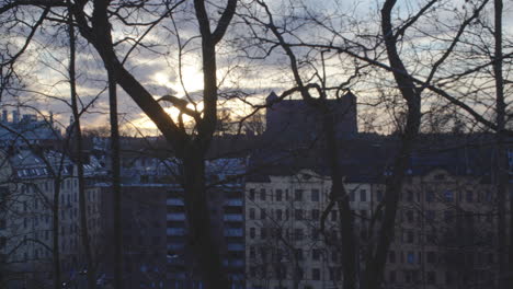 handheld pan over stockholm skyline, evening silhouette, trees in foreground