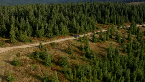 Car-in-green-forest-view-going-destination-big-mountains-national-park-panorama