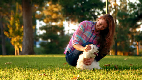 Frau-Streichelt-Stolz-Weißen-Hund-Im-Park