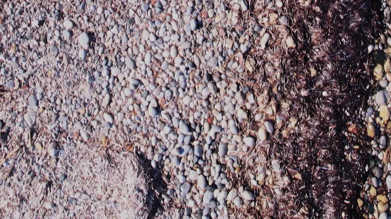 Udforsk kystlinjen med sten og tang på Rhodos i Grækenland