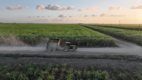 tractor conduciendo entre campos de béisbol y caña de azúcar