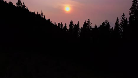 Sun-in-forest-and-the-mountains