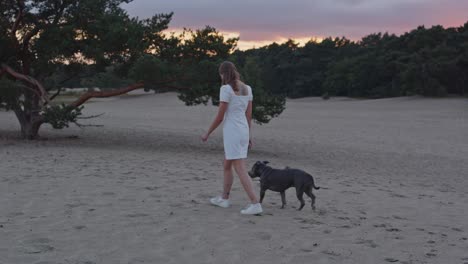 Vista-Media-De-Una-Mujer-Joven-Con-Un-Staffordshire-Terrier-Americano-Alejándose-De-La-Cámara-Pasando-Un-árbol-En-Hermosas-Dunas-De-Arena-Al-Atardecer