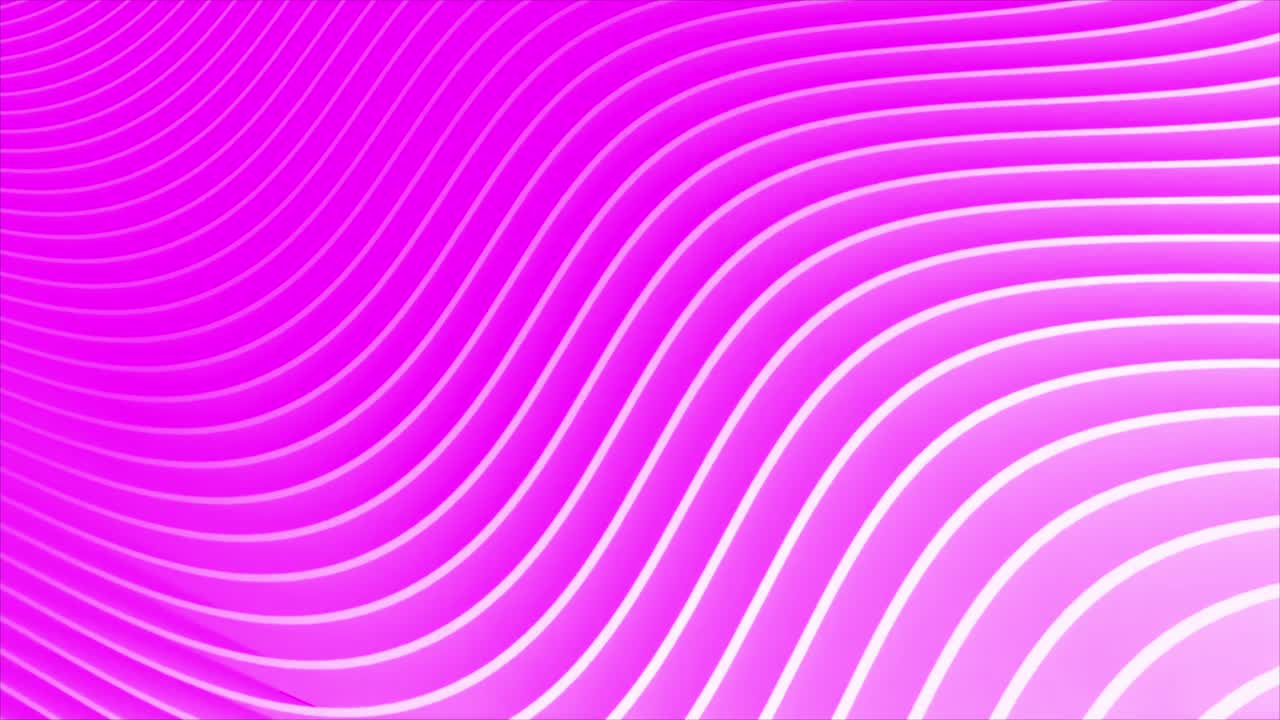 Motion graphic: Background colorful pink stripes waving  seamless loop geometric