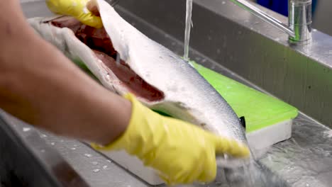 a skilled chef deftly cleans a fresh fish at a vibrant culinary workspace, showcasing techniques in fileting and preparing seafood for an upcoming dish