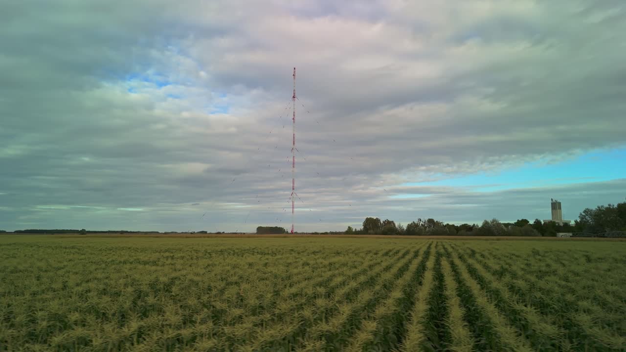 Tall, medium wave radio antenna viewed above the local cornfields in Solt, Hungary