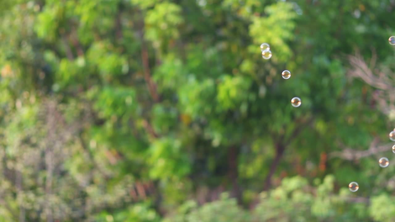 어린이와 어린이를 위한 자연 녹색 흐릿한 보케 배경으로 공중에 떠다니는 비누 거품