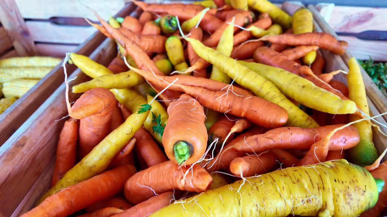 Close-up of fresh organic rainbow carrots in crate