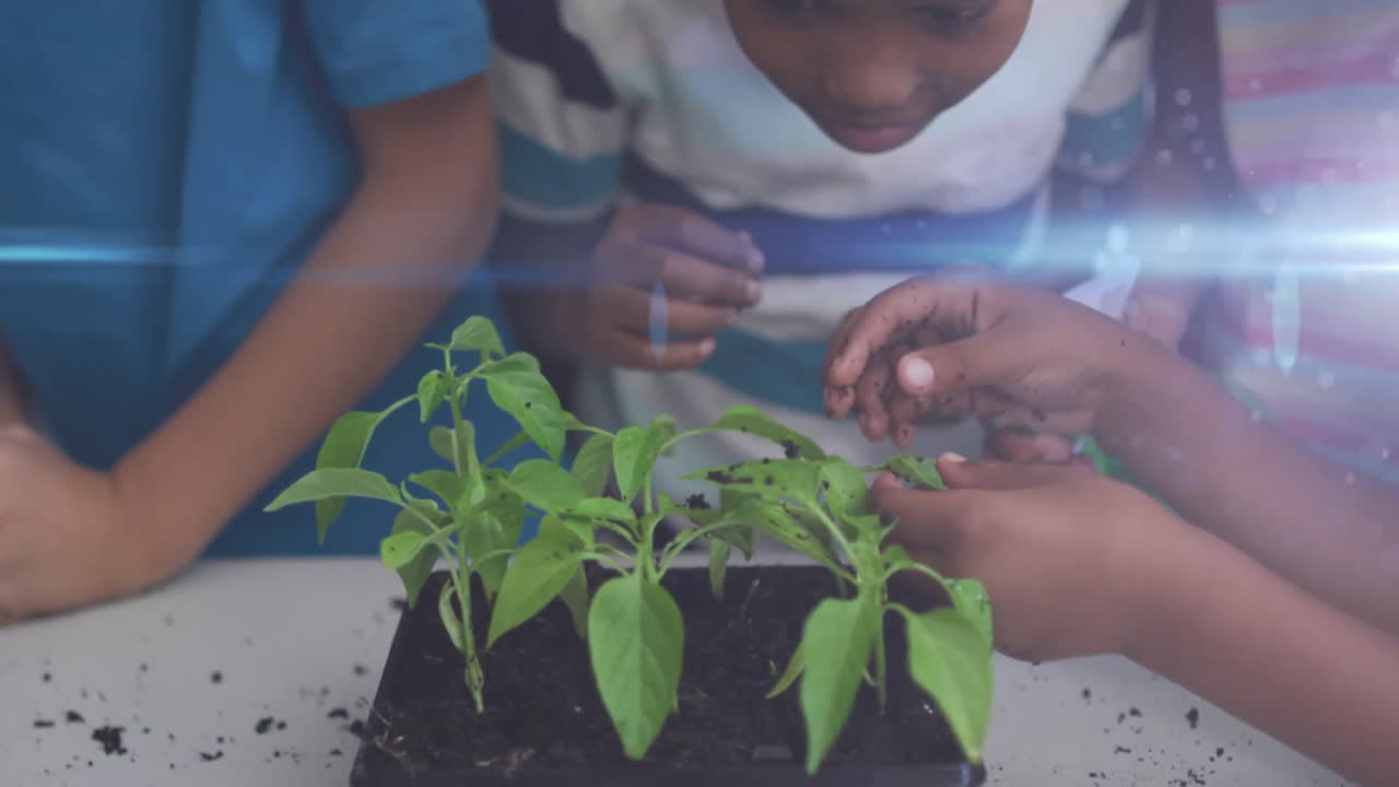 senderos de luz azul contra un grupo diverso de estudiantes tocando muestras de plantas en la escuela