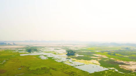 Drone-shot-of-the-wetlands-of-Bangladesh-with-paddy-fields