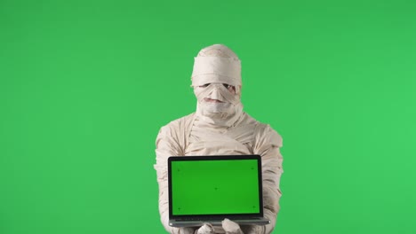 mummy holding green screen laptop