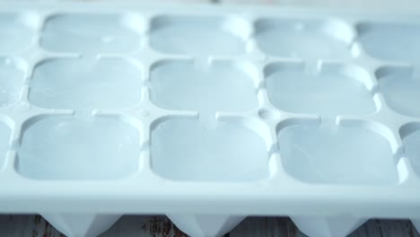 empty ice cube tray