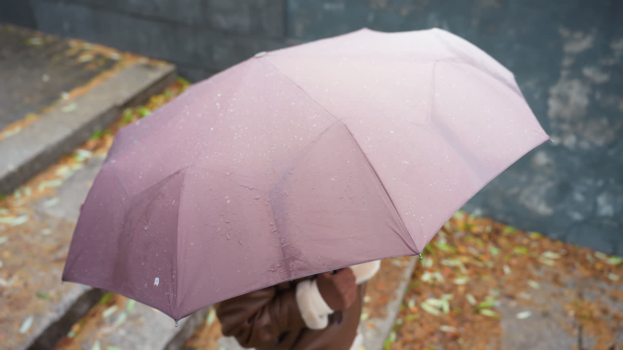 Up shot of young girl holding umbrella, wearing brown shearling jacket, black trousers, walking in light snowfall with colorful autumn leaves on stone steps in outdoor setting
