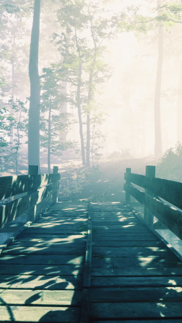 Misty forest pathway with wooden bridge under soft morning light