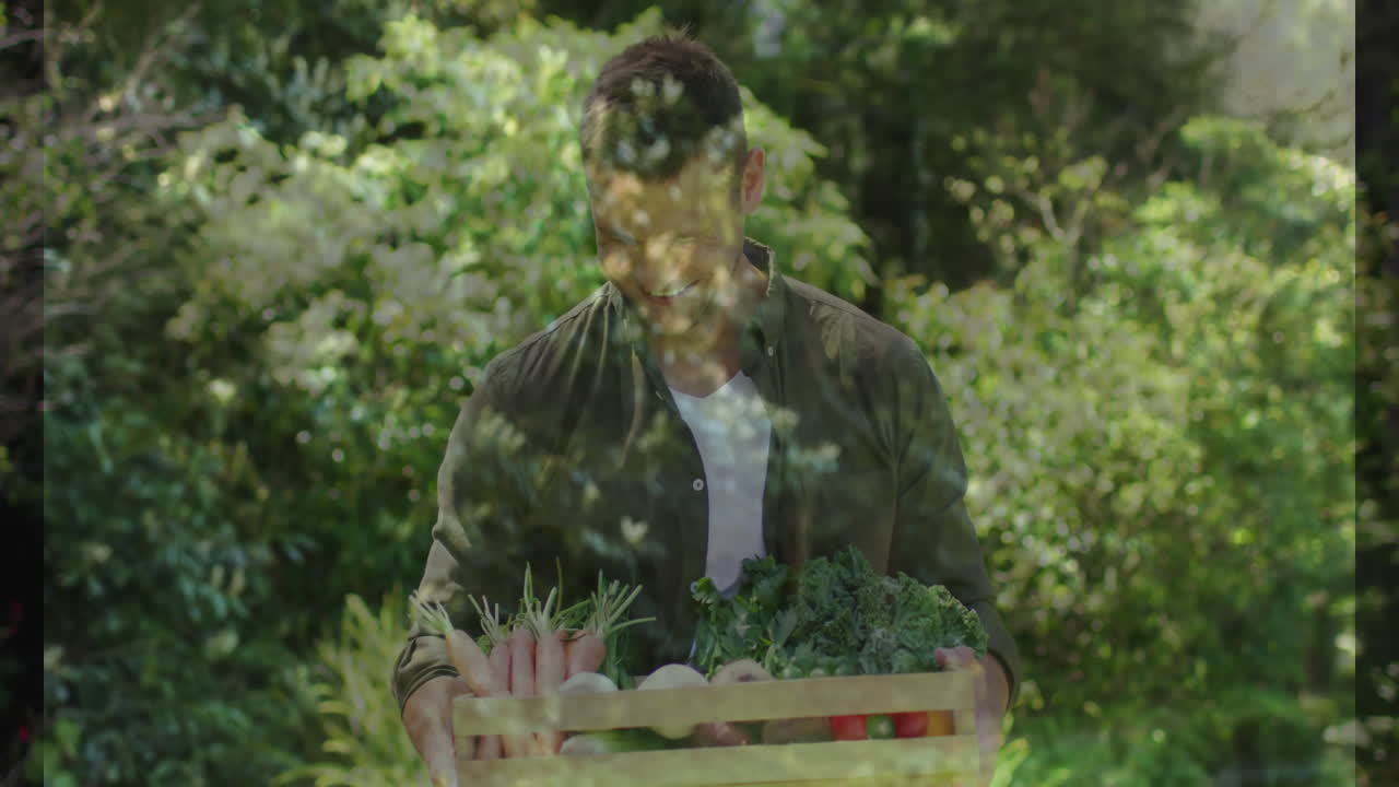 Carrying wooden crate of fresh vegetables, man working in lush garden