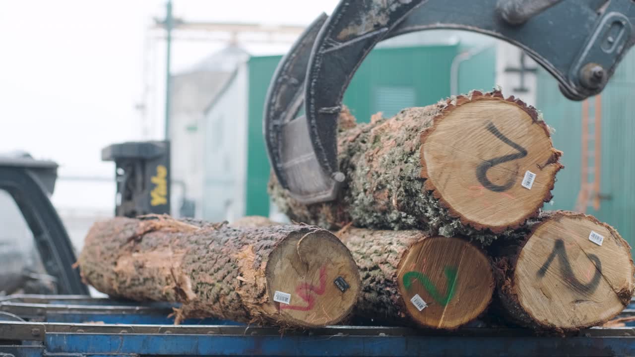 Industrial Log Loader Placing Freshly Cut Timber onto a Truck