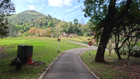 time-lapse of a park pathway across different frames