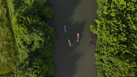 aerial view, canoeing on a river with thick tree banks and rice fields