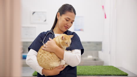 Lächeln,-Tierarzt-Und-Frau-Mit-Hauskatze-Zur-Pflege