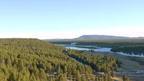 Cold-dense-snowy-forest-valley-with-mountain-range