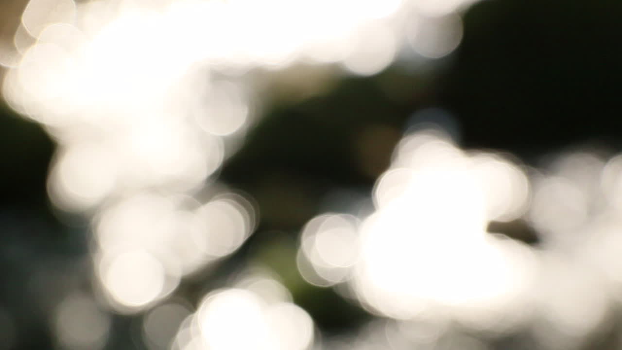 녹색 자연 배경