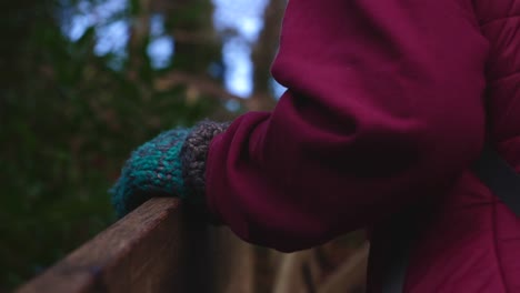 hand sliding up wooden beam in forest