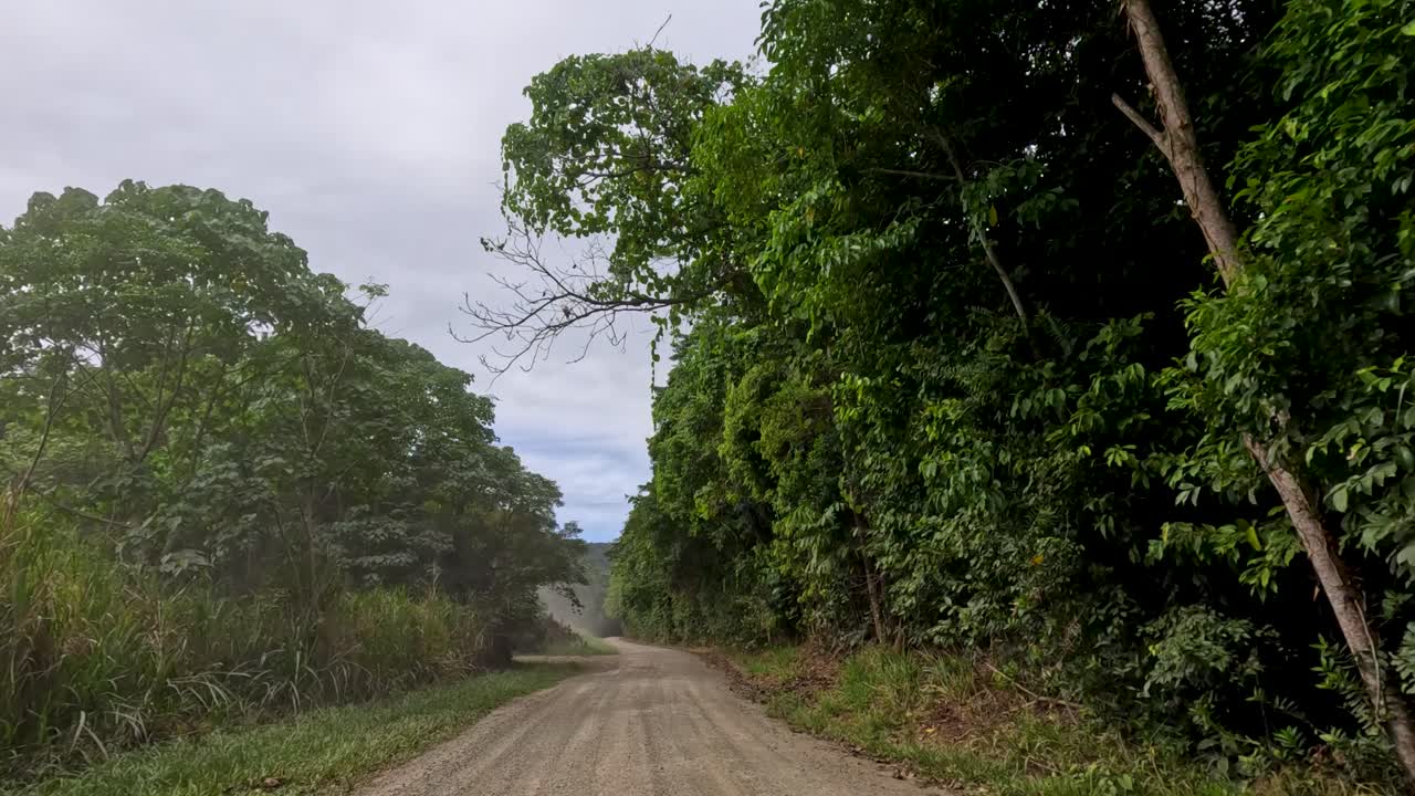 A serene drive along a dirt road surrounded by dense, vibrant greenery under soft, natural lighting in Port Douglas
