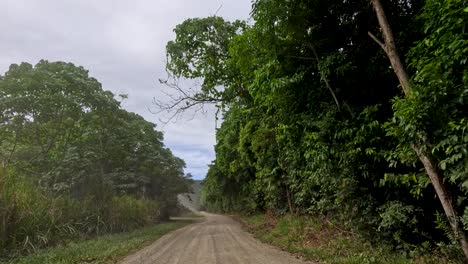 a serene drive along a dirt road surrounded by dense, vibrant greenery under soft, natural lighting in port douglas