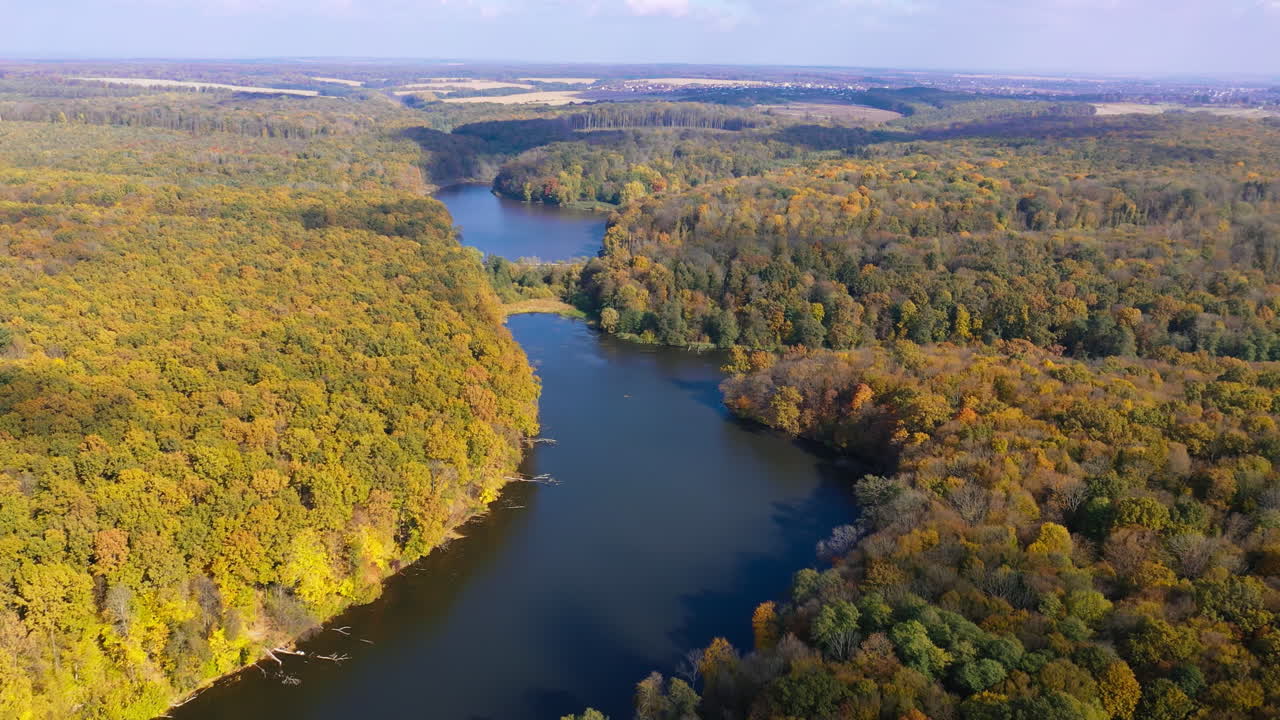Smooth surface of the narrow river running through colorful woods. Huge territory overgrown with trees shot from drone.