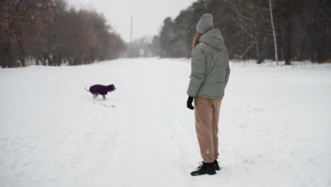 Person walking dog on snowy path during winter day, both dressed warmly, surrounded by forest trees, peaceful nature scene, outdoor exercise, human pet companionship, leash trailing behind in snow