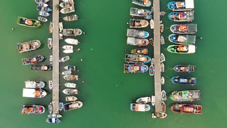 dock with two lines of fishing boats