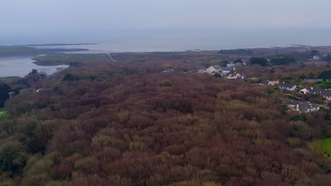 Toma-De-Drones-Para-Establecer-El-Descenso-De-Los-Bosques-De-Barna,-Con-La-Copa-De-Los-árboles-Y-Una-Hebra-Plateada-Al-Fondo.