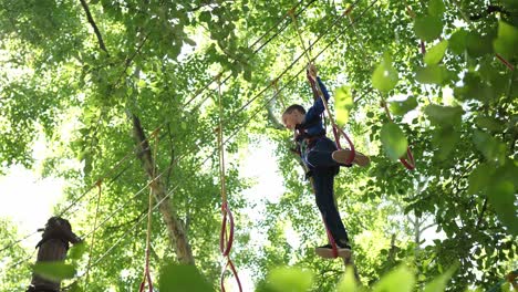 child enjoying a treetop adventure course