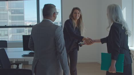 positive female project leader meeting partners in office