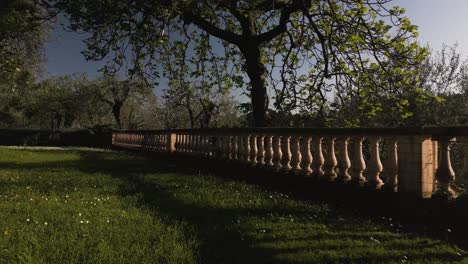 sunlit garden terrace with balustrade in the french riviera countryside, showcasing lush greenery and serene atmosphere