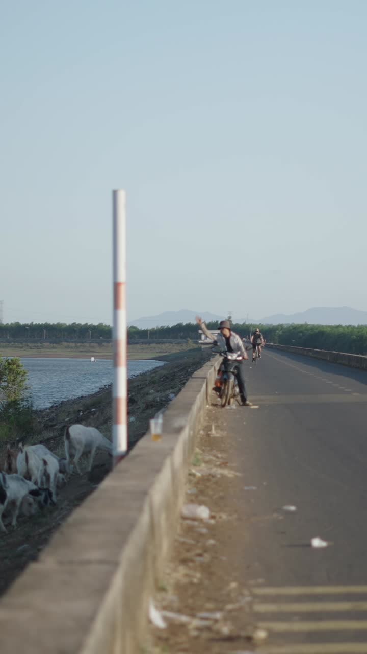 Road scene with motorcycle, goats, and cyclist